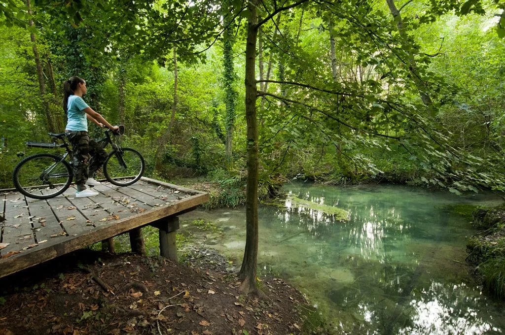🏞️ 실레강 자연 공원(파르코 나투랄레 레조날레 델 피우메 실레)